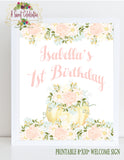 Pastel Little Pumpkin 1st Birthday PDF Personalized Printable 8"x 10" Welcome Sign